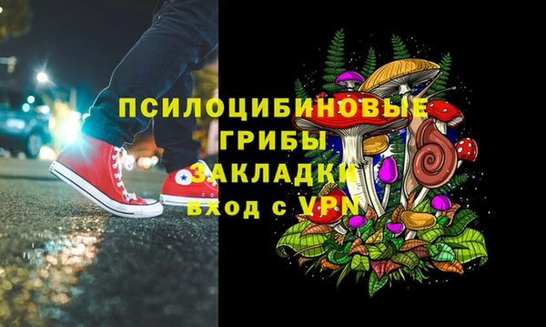дживик Володарск