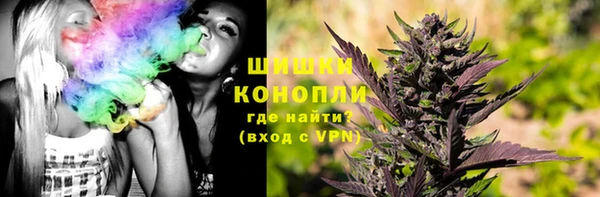 дживик Володарск