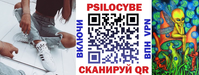 Купить закладки  Нерюнгри  Псилоцибиновые грибы ЛСД 